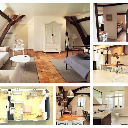 Chateau La Mothaye - Self Catering Apartments With Pool In The Loire Valley Les Bois-d'Anjou Экстерьер фото
