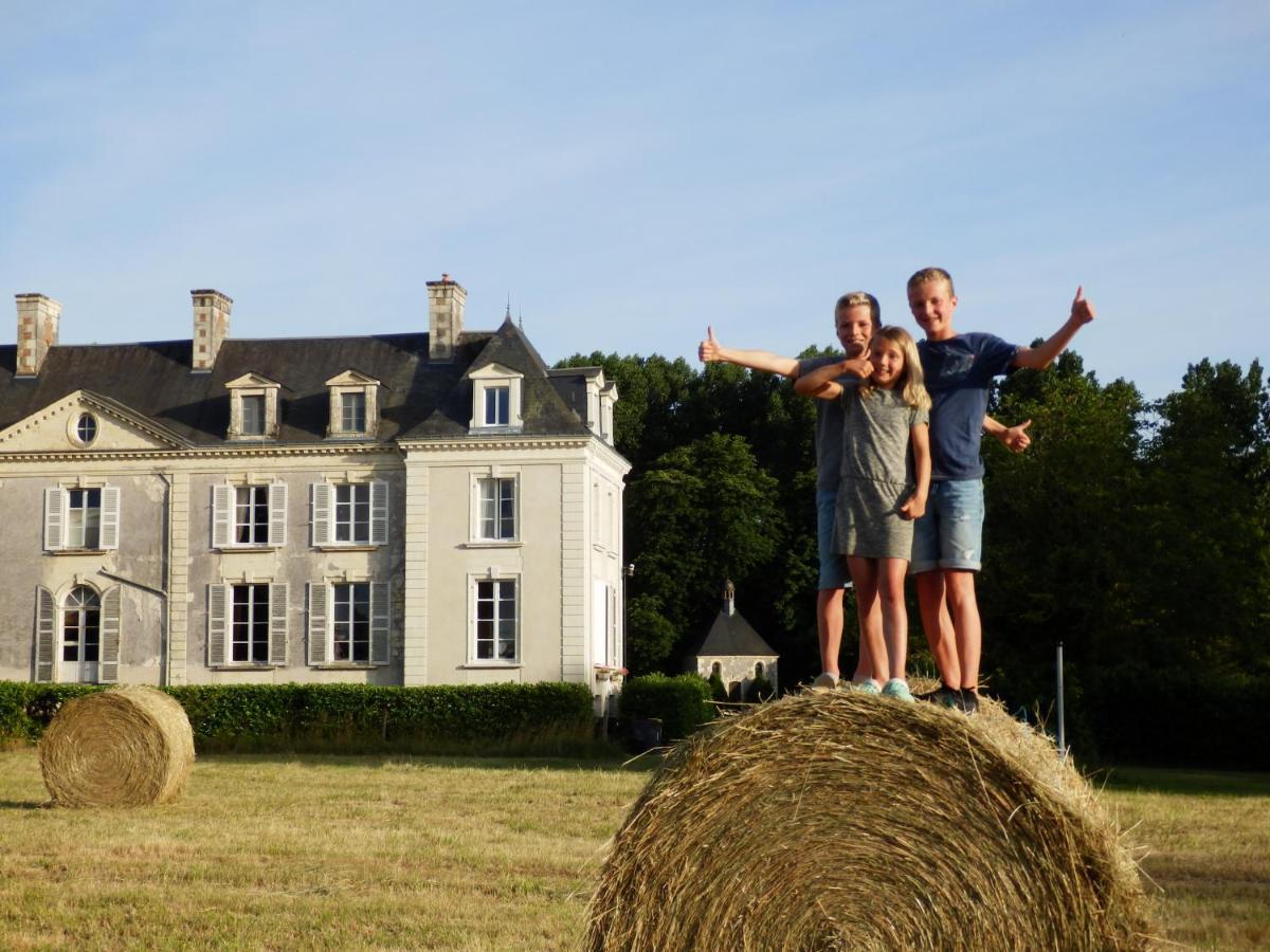 Chateau La Mothaye - Self Catering Apartments With Pool In The Loire Valley Les Bois-d'Anjou Экстерьер фото