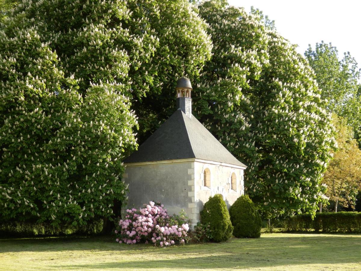 Chateau La Mothaye - Self Catering Apartments With Pool In The Loire Valley Les Bois-d'Anjou Экстерьер фото