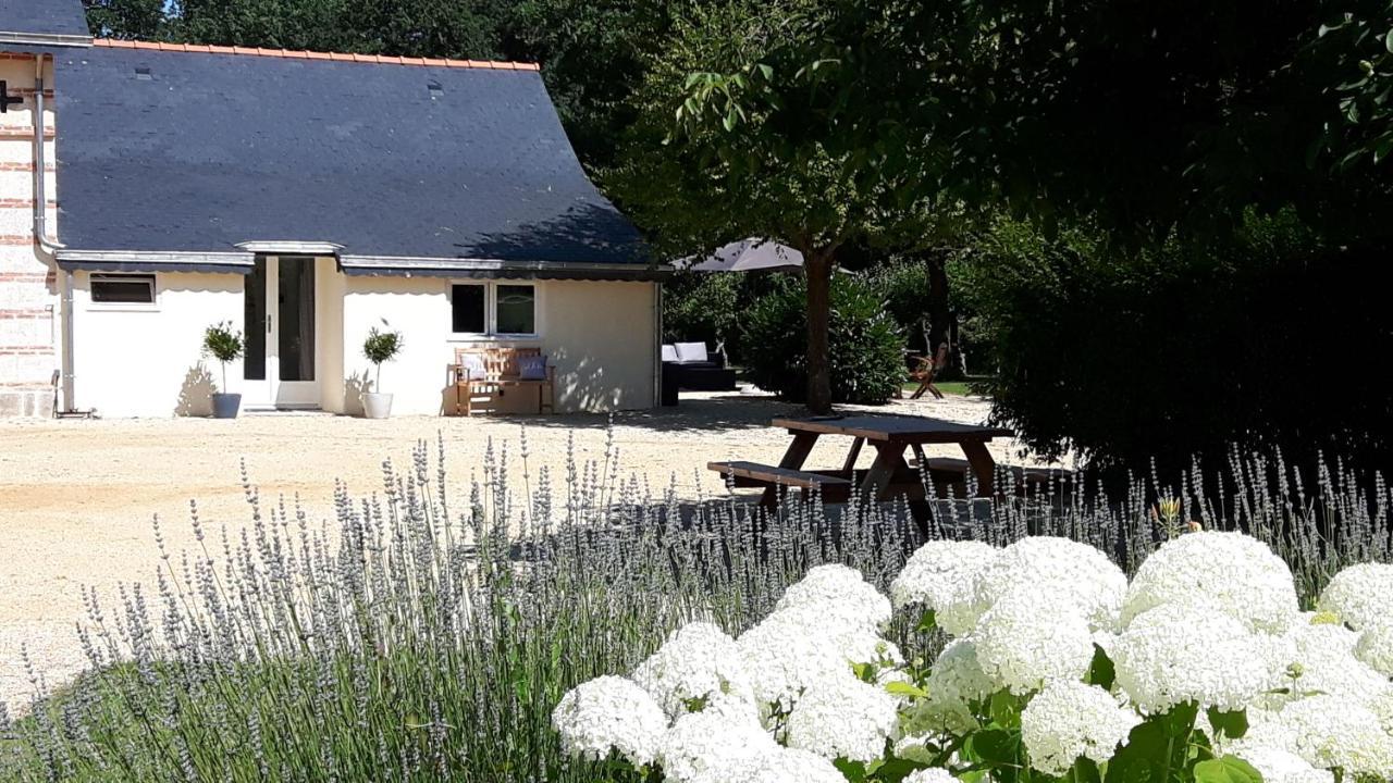 Chateau La Mothaye - Self Catering Apartments With Pool In The Loire Valley Les Bois-d'Anjou Экстерьер фото