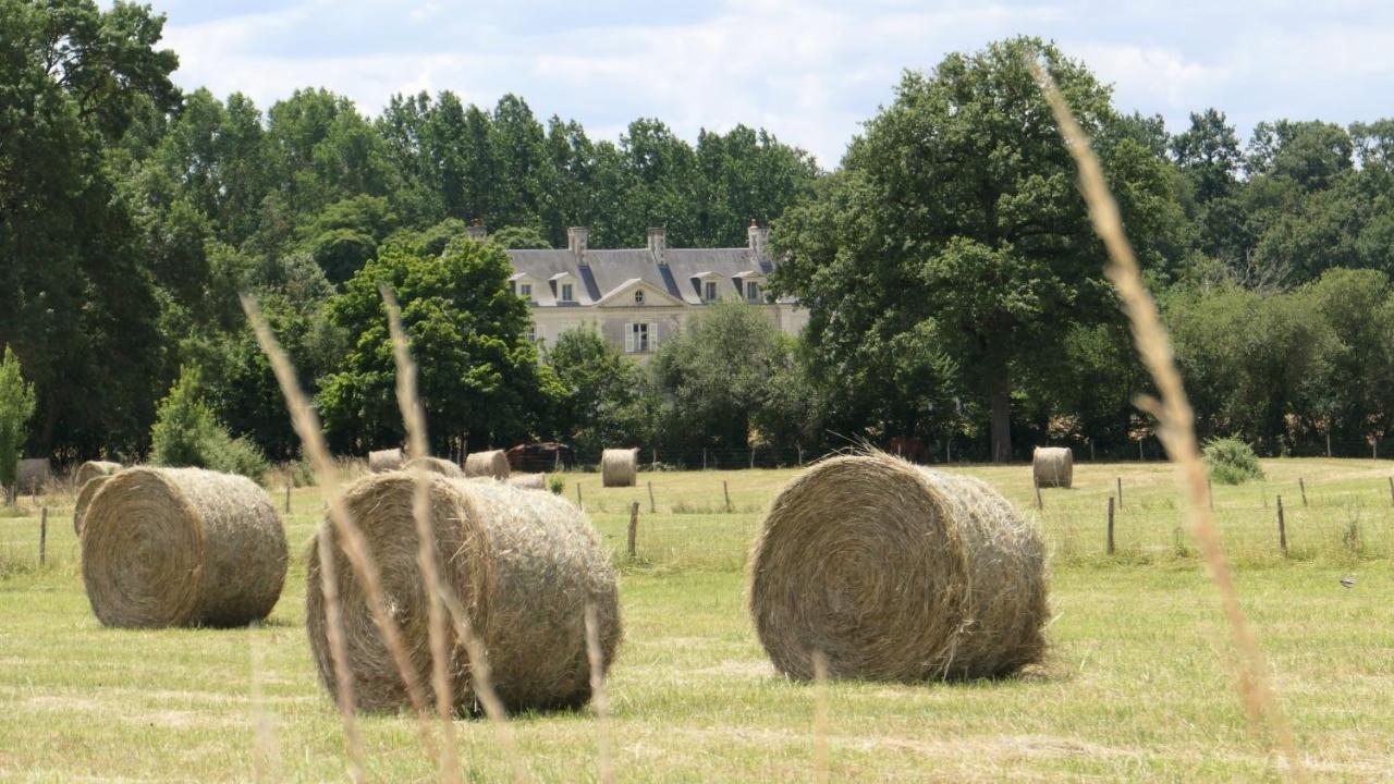 Chateau La Mothaye - Self Catering Apartments With Pool In The Loire Valley Les Bois-d'Anjou Экстерьер фото