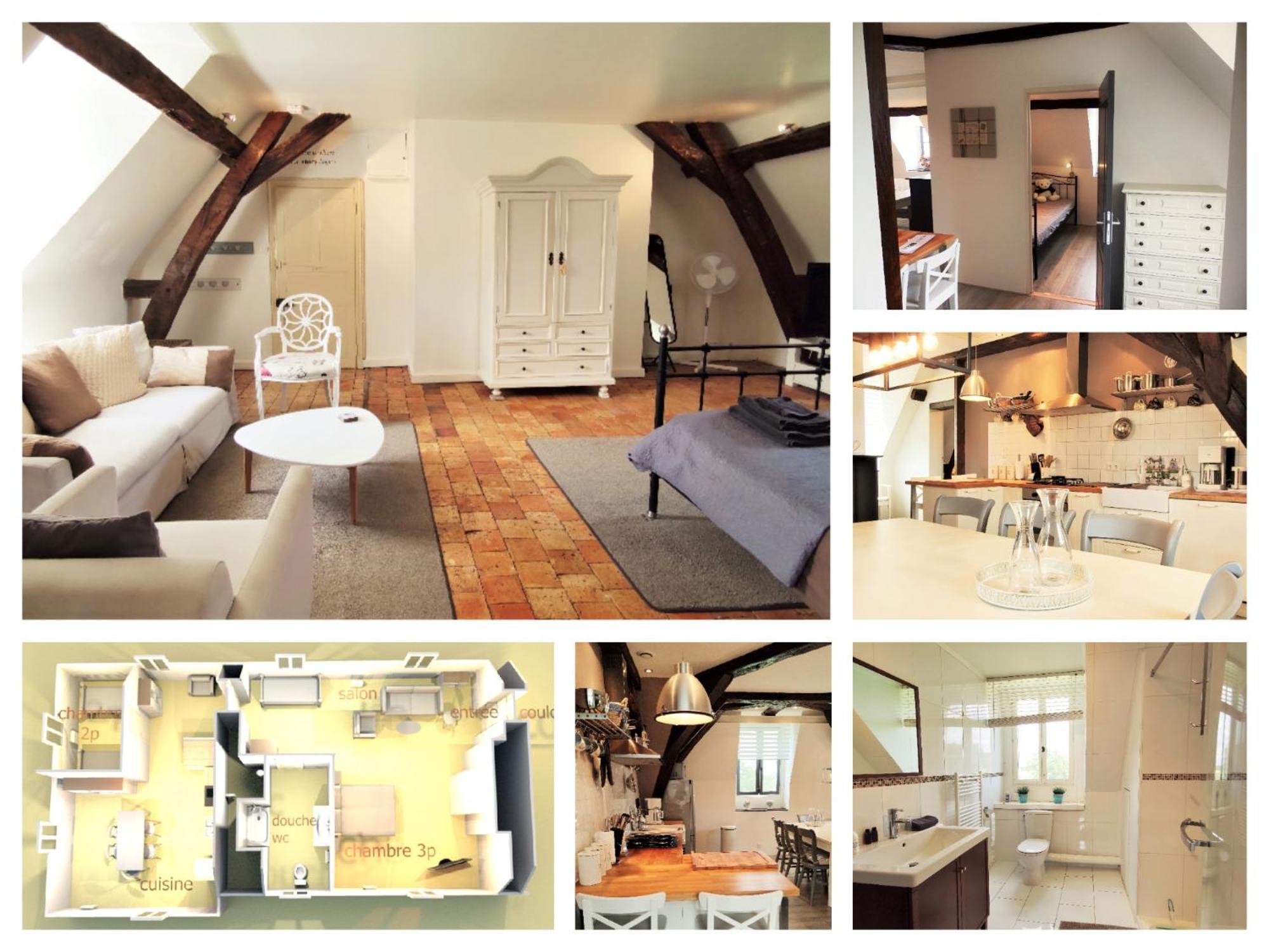Chateau La Mothaye - Self Catering Apartments With Pool In The Loire Valley Les Bois-d'Anjou Экстерьер фото